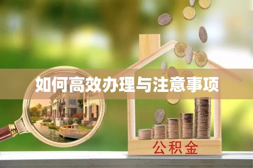 甘南如何高效办理与注意事项