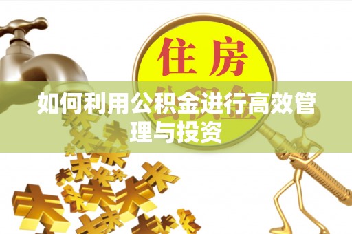 甘南如何利用公积金进行高效管理与投资